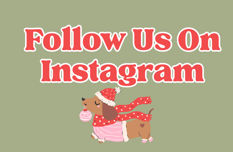 Follow us on Instagram